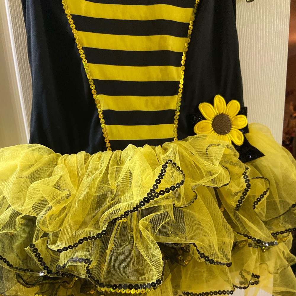 Beautiful costume - Picture 3 of 3